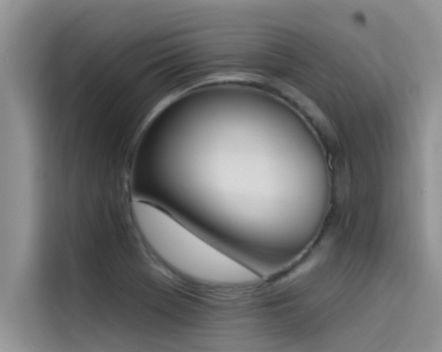 X0000114551369200910191403