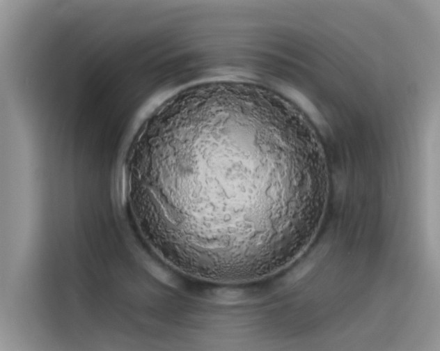 X0000114551371200910191402