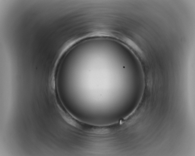 X0000114551372200910191402