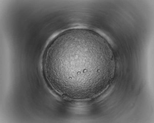 X0000114551375200910191402