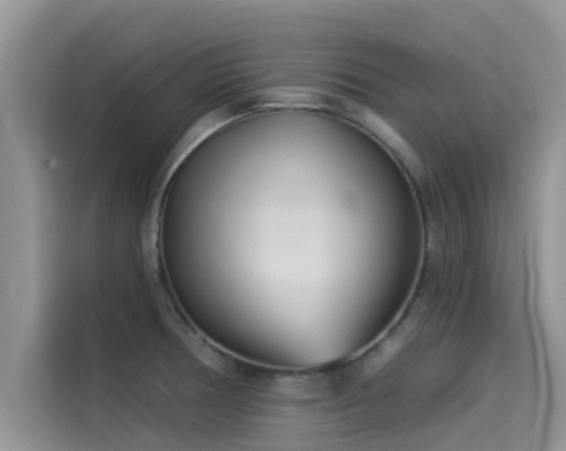X0000114551378200910191402
