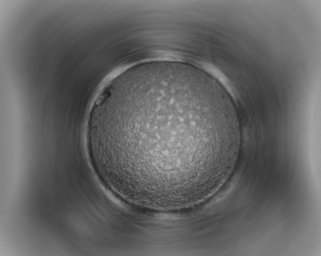 X0000114551379200910191402