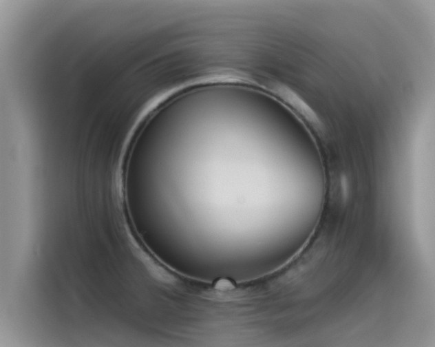 X0000114551380200910191402