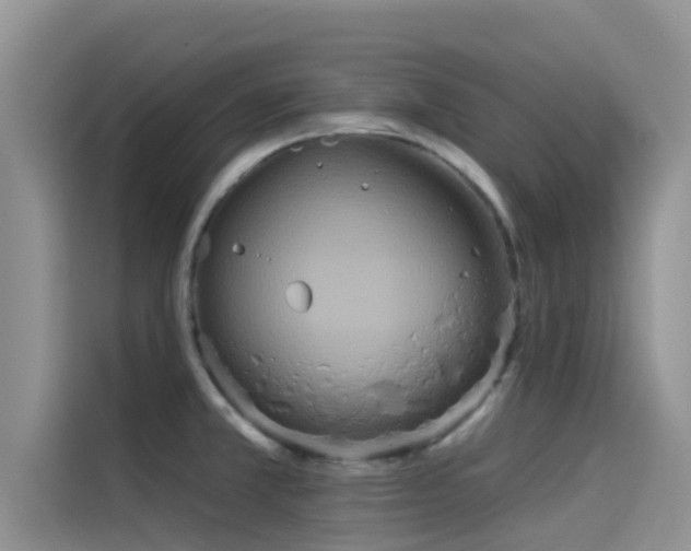 X0000114551381200910191402
