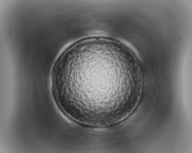 X0000114551383200910191402