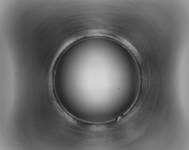 X0000114551384200910191402