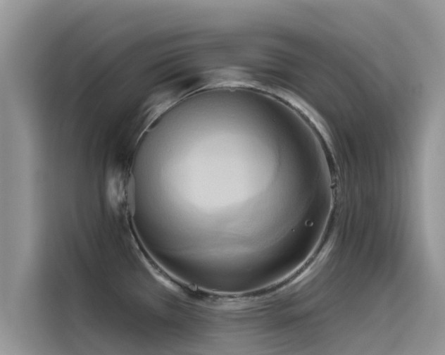 X0000114551385200910191402