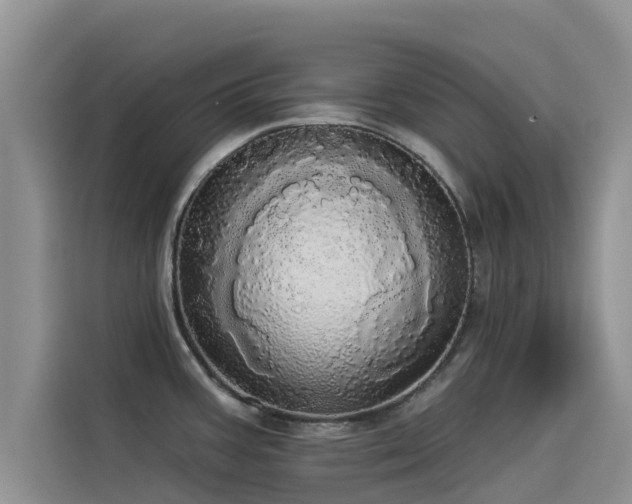 X0000114551387200910191402