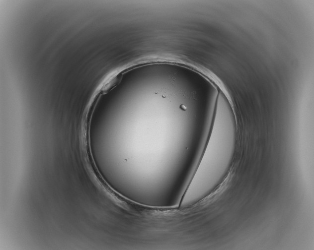 X0000114551389200910191402