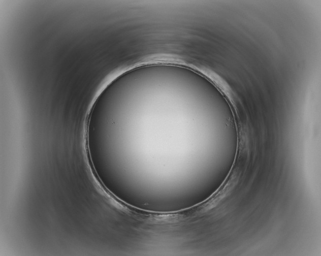 X0000114551390200910191402