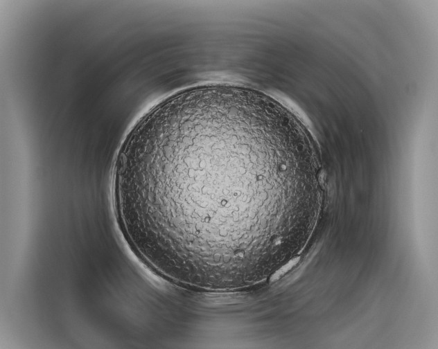 X0000114551391200910191402