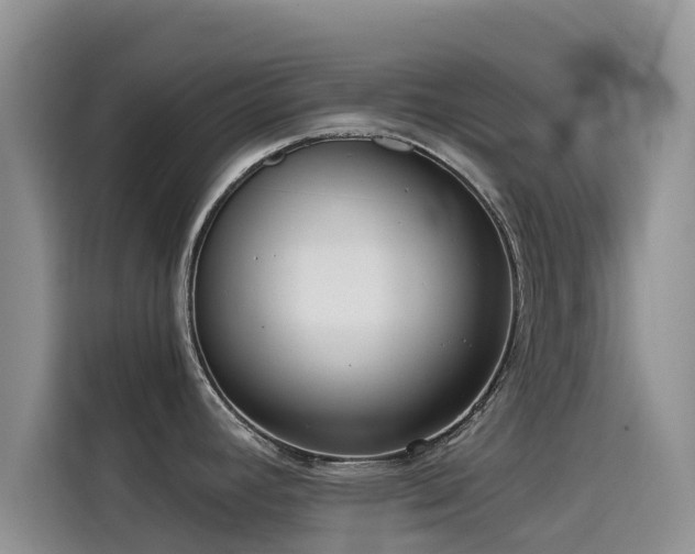 X0000114551392200910191402