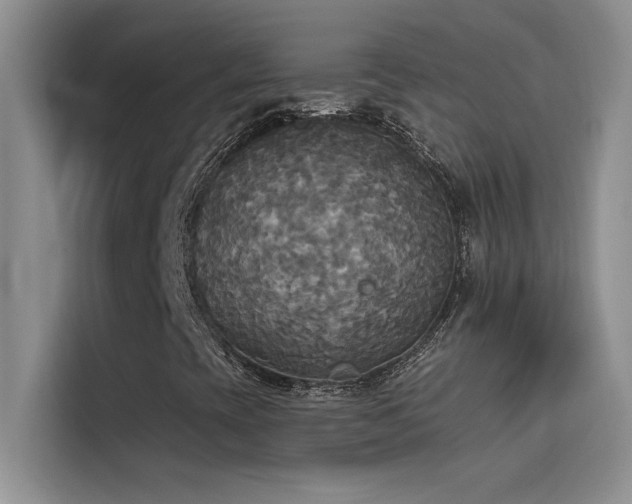 X0000114551393200910191402