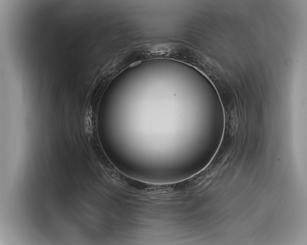 X0000114551394200910191402