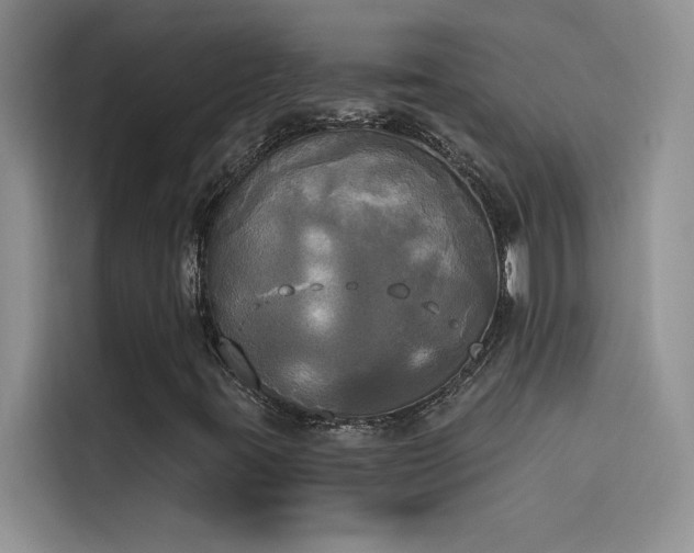 X0000114551395200910191402
