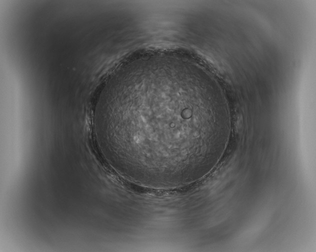 X0000114551397200910191402