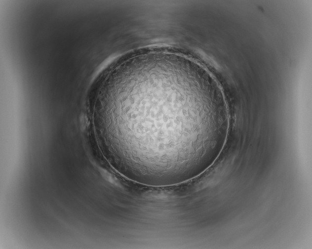 X0000114551400200910191402