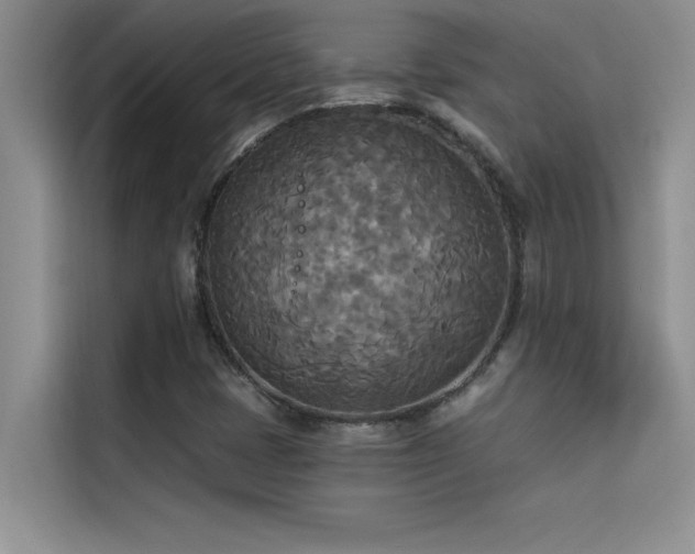 X0000114551401200910191402