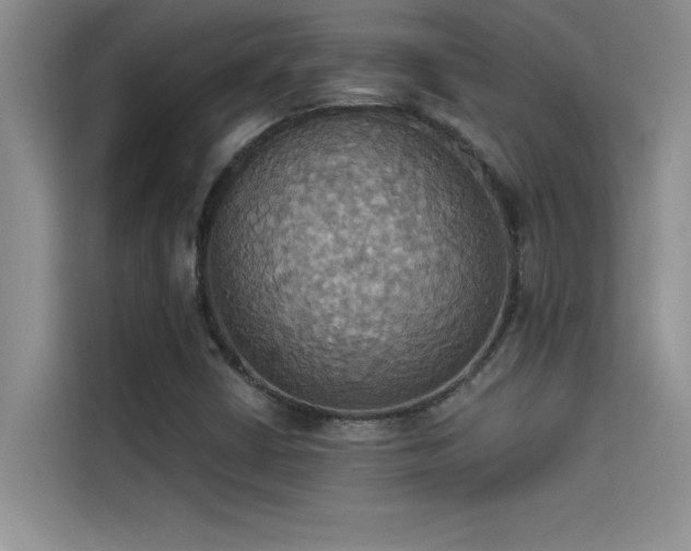 X0000114551402200910191402