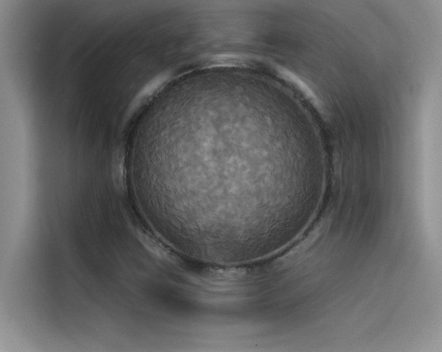 X0000114551403200910191402