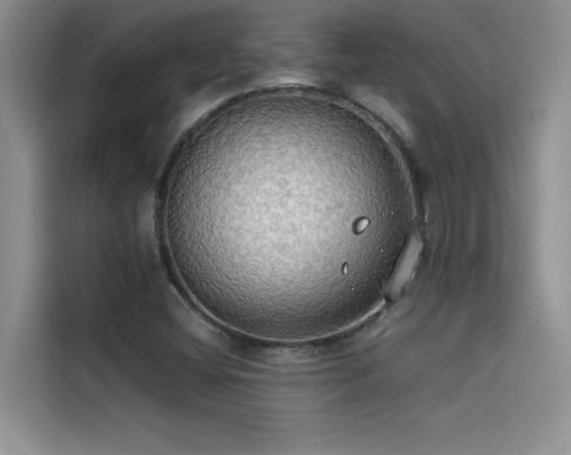 X0000114551404200910191402