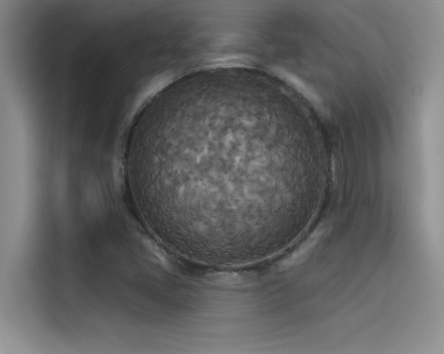 X0000114551405200910191402