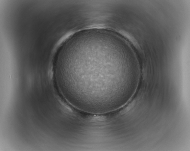 X0000114551406200910191402