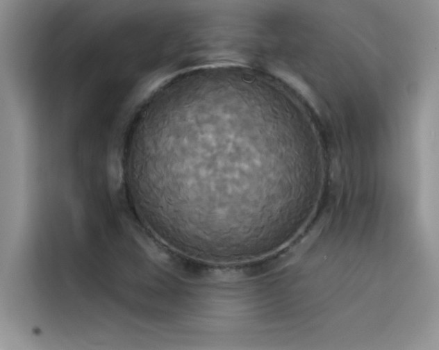 X0000114551407200910191402