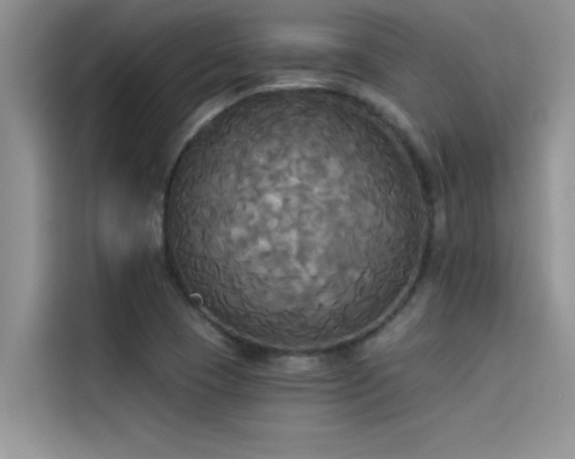X0000114551409200910191402