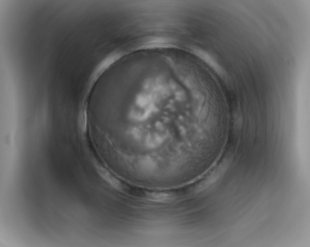 X0000114551413200910191402