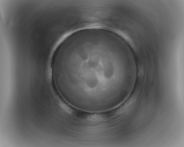 X0000114551414200910191402