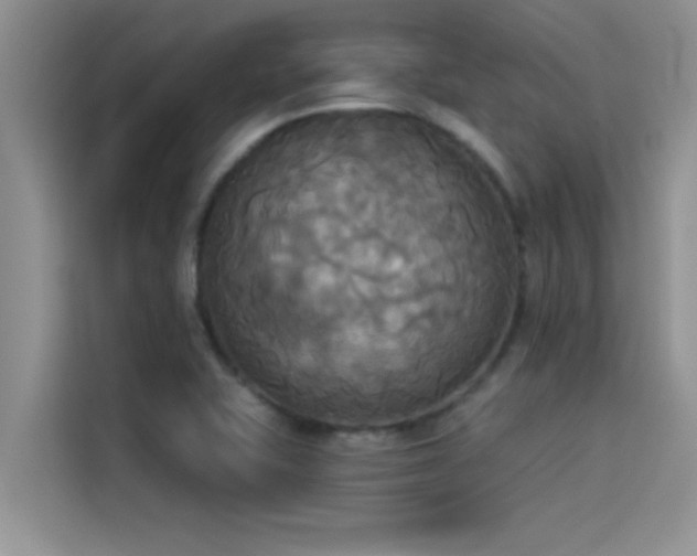 X0000114551415200910191402