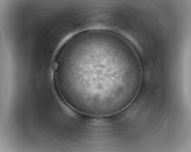 X0000114551416200910191402