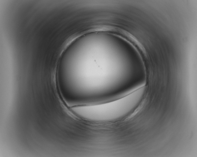 X0000114551417200910191402