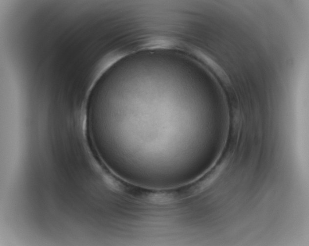 X0000114551418200910191402