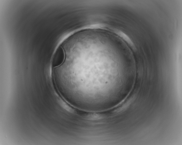 X0000114551420200910191402