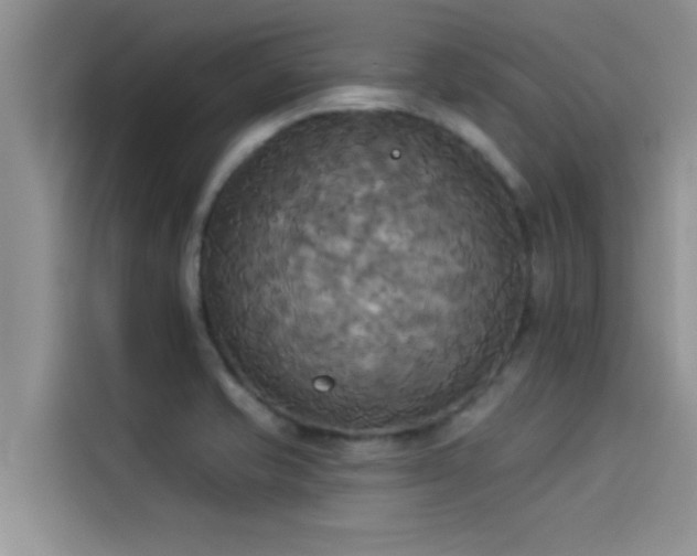 X0000114551421200910191402