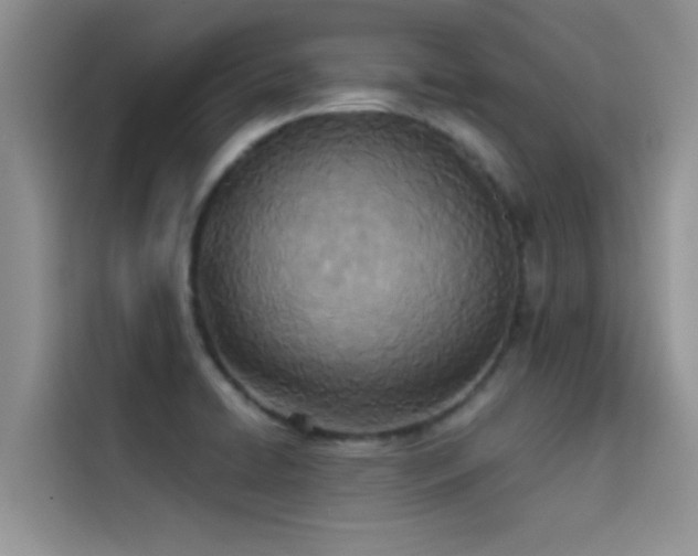 X0000114551422200910191402