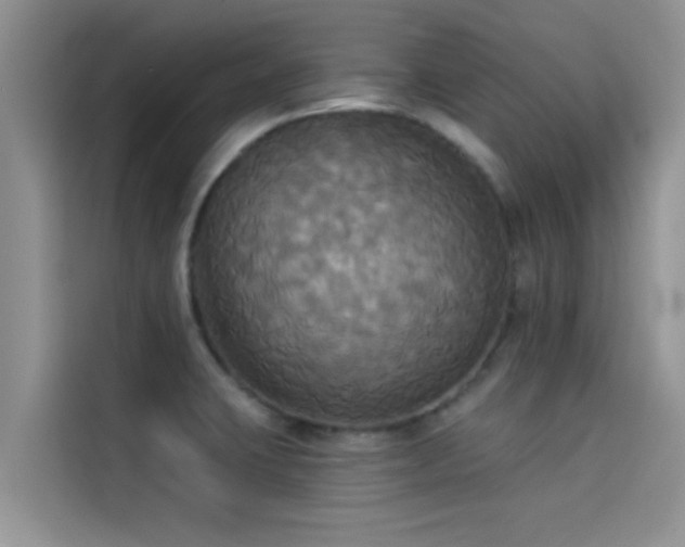 X0000114551423200910191402
