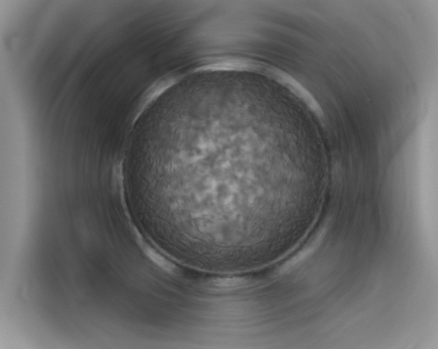 X0000114551425200910191402