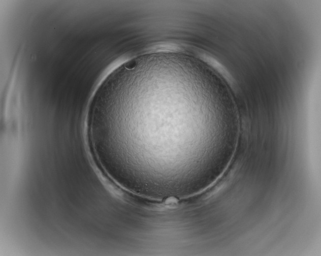 X0000114551426200910191402