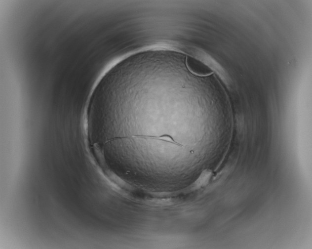 X0000114551428200910191402