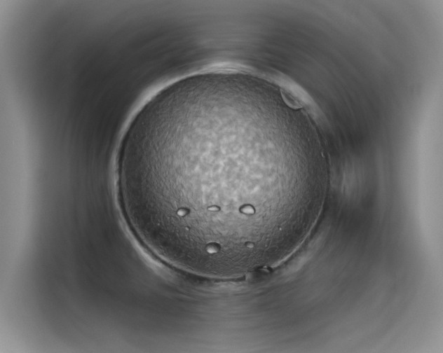 X0000114551430200910191402