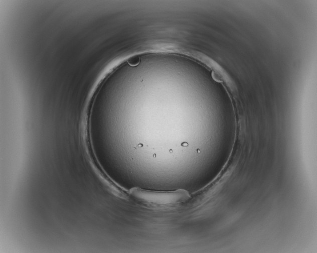 X0000114551432200910191402