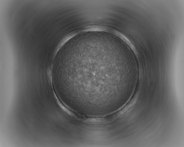 X0000114551433200910191402