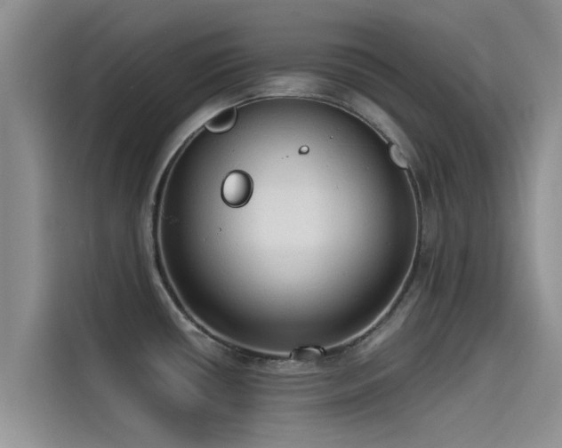 X0000114551434200910191402