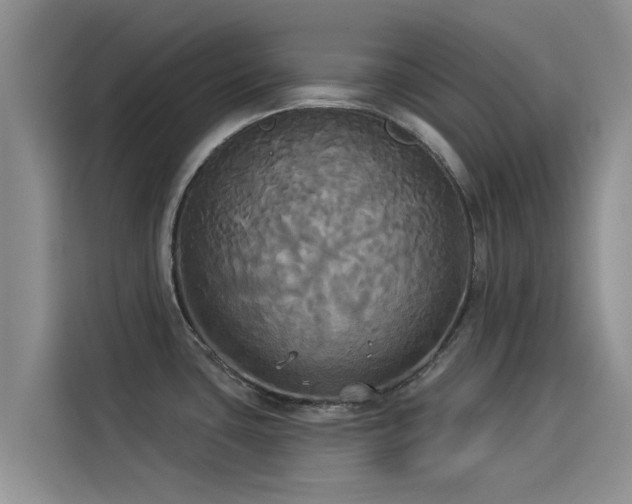 X0000114551435200910191402