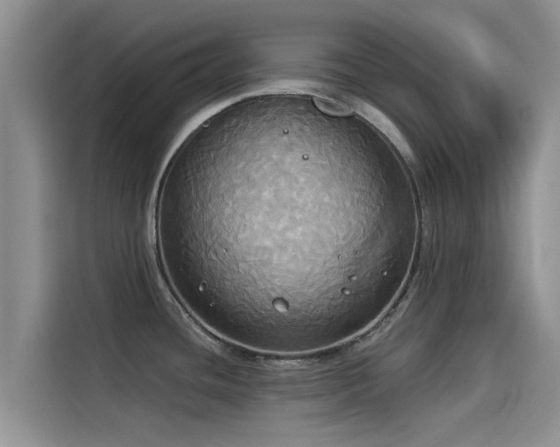 X0000114551436200910191402
