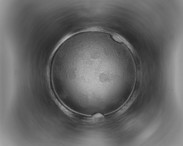 X0000114551438200910191402