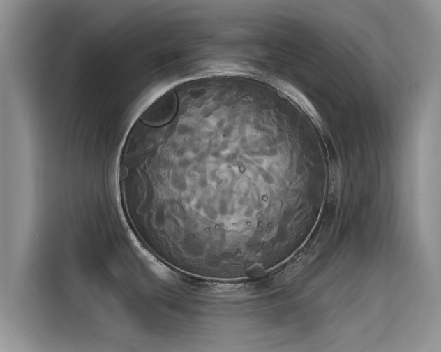 X0000114551439200910191402